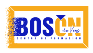 bosondevixs.com